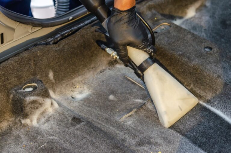 Expert Carpet Cleaning in Hamburg: Transform Your Home with Professional Care