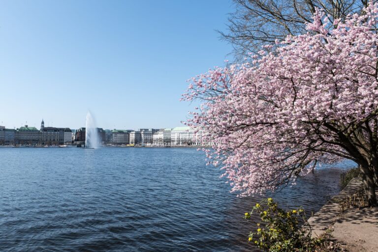 Essential Steps for Post-Winter Apartment Cleaning in Hamburg