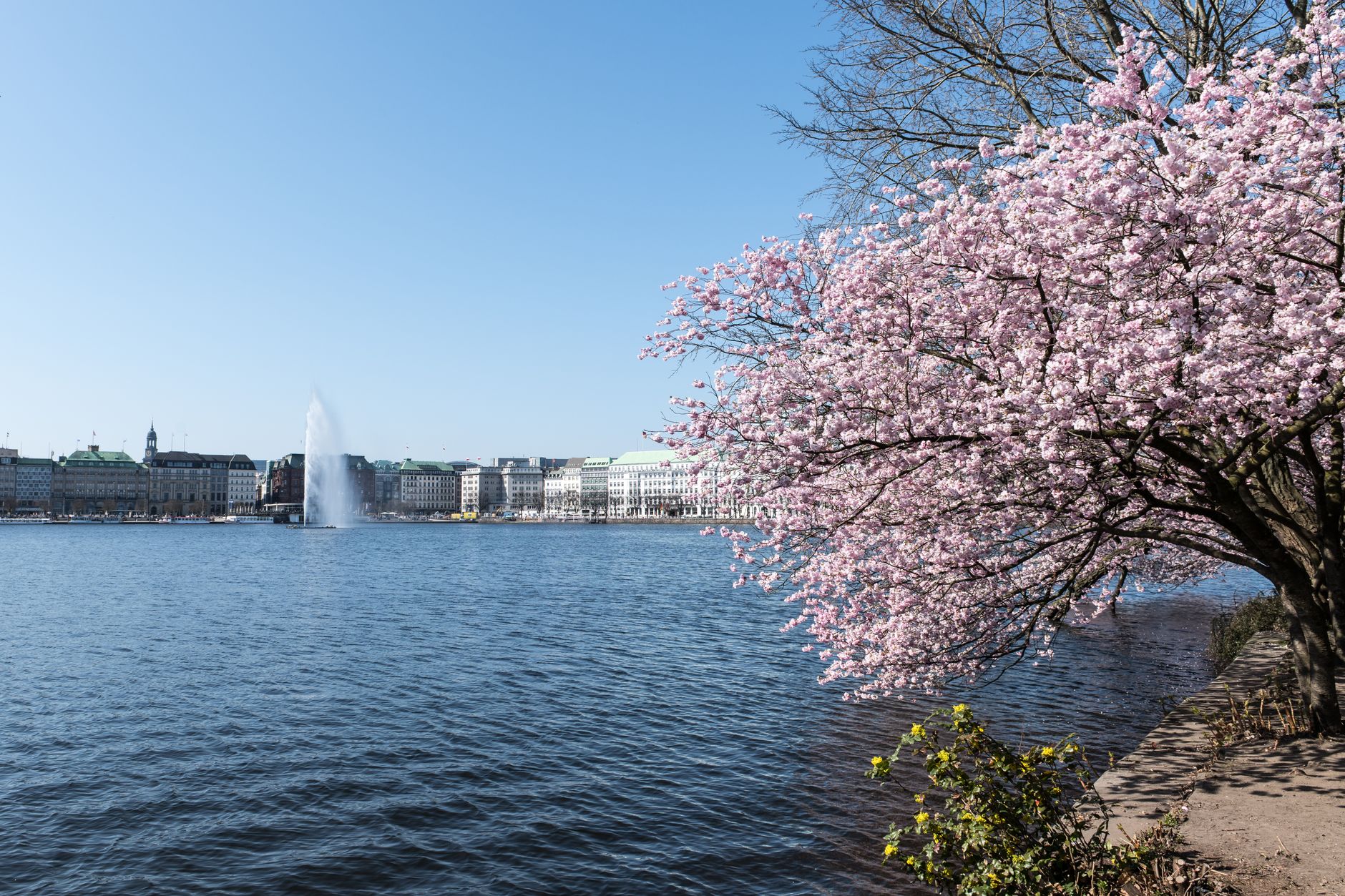 Essential Steps for Post-Winter Apartment Cleaning in Hamburg