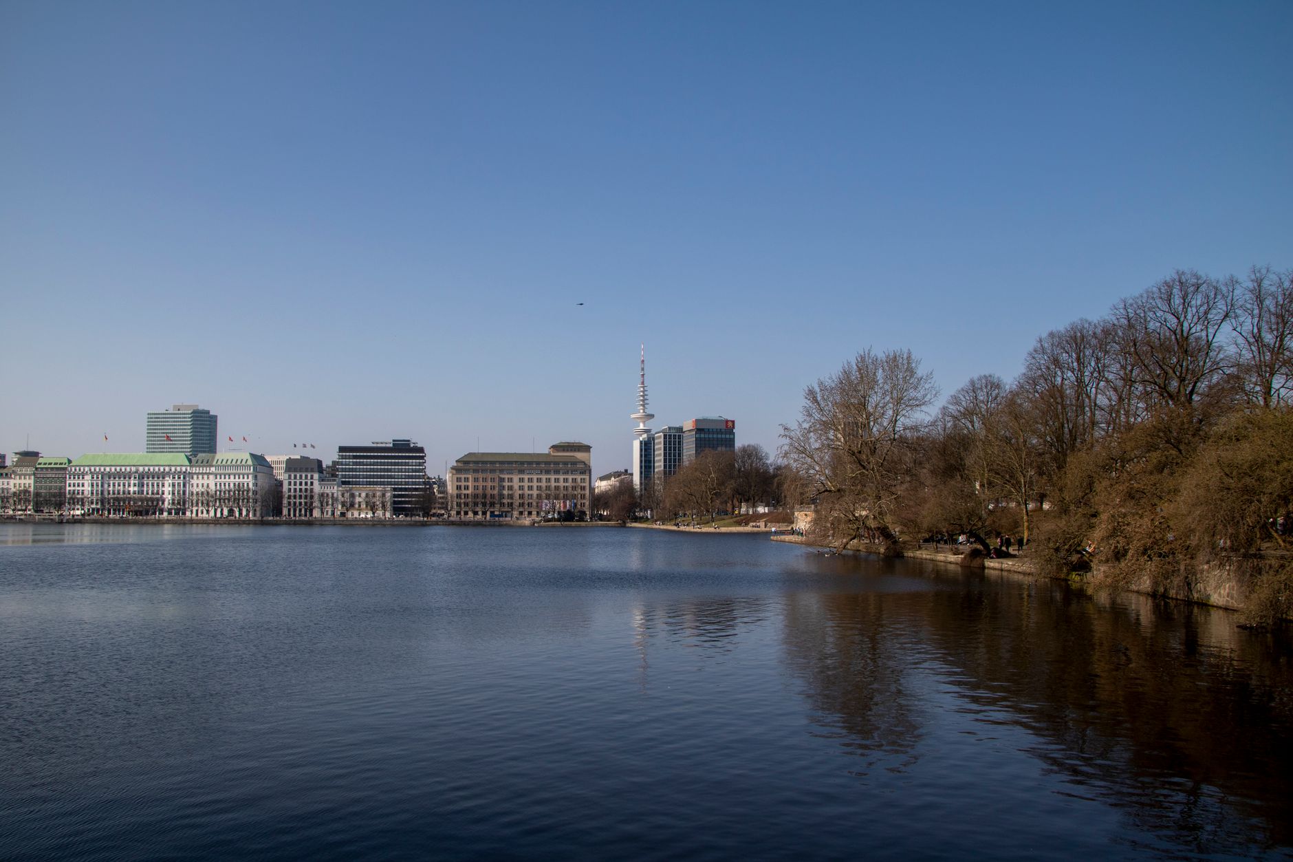 Professionelle Sofareinigung in Hamburg: So bleibt Ihr Sofa wie neu