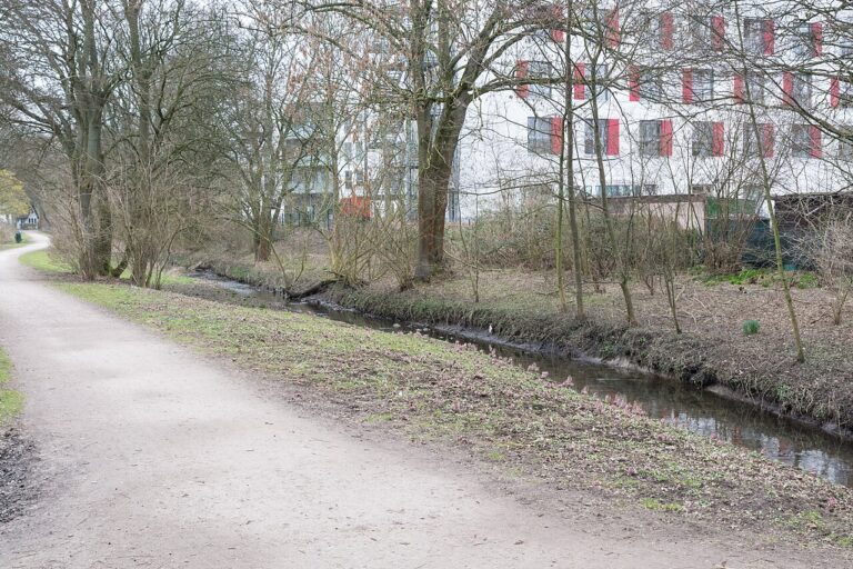Endreinigung nach Auszug: Wer zahlt, Mieter oder Vermieter?