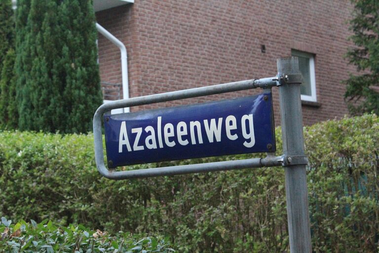 Was kostet eine Putzfrau in Hamburg? Stundenlohn, Festpreis, versteckte Kosten