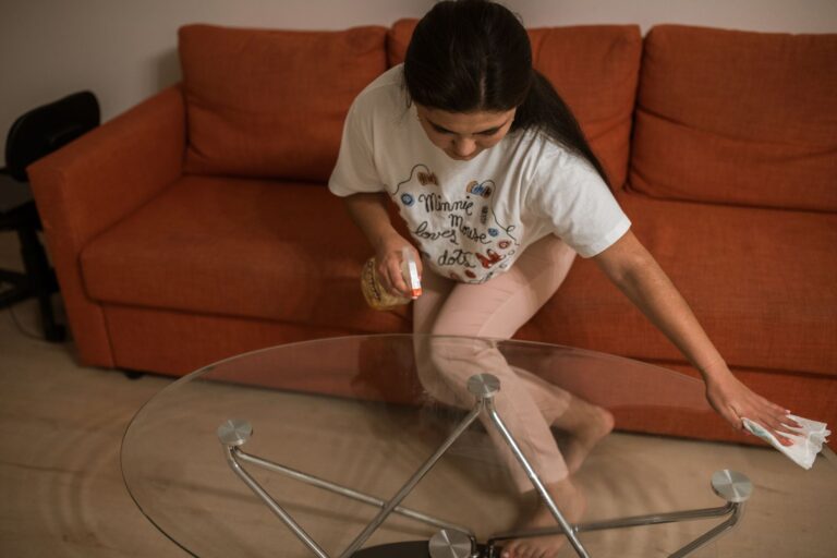 A Guide to Choosing the Best Sofa Cleaning Service in Hamburg